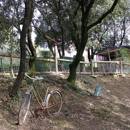 Le Domaine Du Naizadou Chalet Lou Grilh Βίλα La Barriére Εξωτερικό φωτογραφία