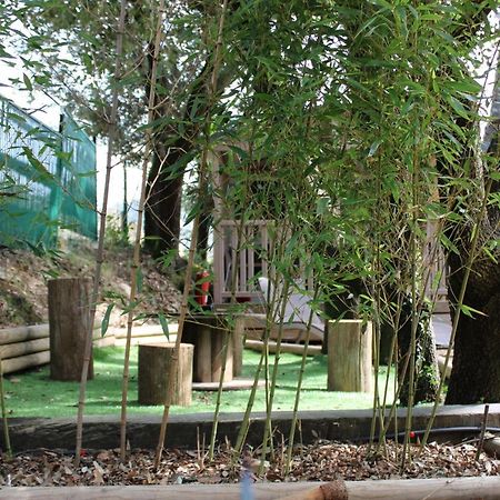 Le Domaine Du Naizadou Chalet Lou Grilh Βίλα La Barriére Εξωτερικό φωτογραφία