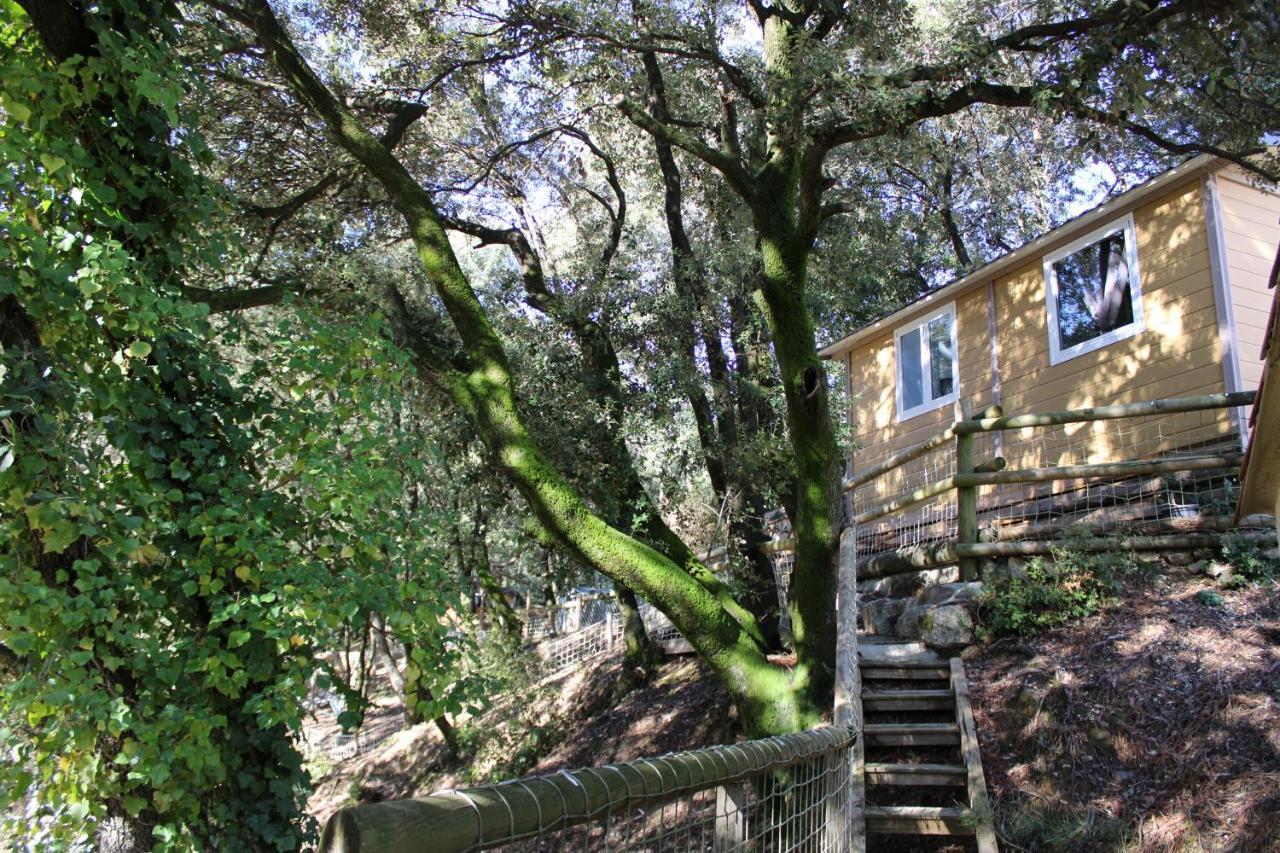 Le Domaine Du Naizadou Chalet Lou Grilh Βίλα La Barriére Εξωτερικό φωτογραφία